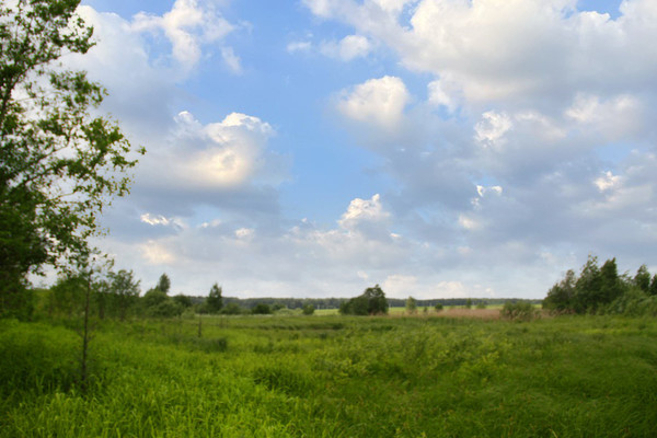 Объект по адресу Москва, Венюково д 