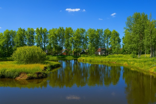 Объект по адресу Москва, Рыболов тер. ДНП 