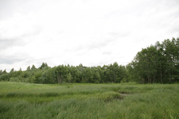Объект по адресу Москва, Вега гск 