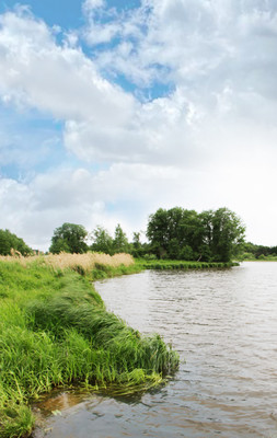 Объект по адресу Москва, Пестриково с 