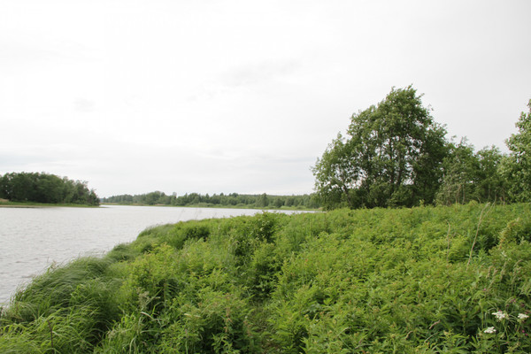 Объект по адресу Москва, Пестриково с 