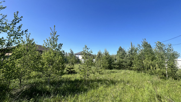 Объект по адресу Москва, совхоза Раменское п 