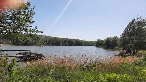 Объект по адресу Москва, ДНП Поречье тер 