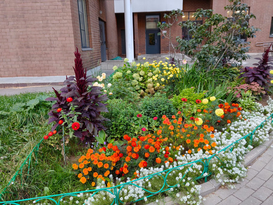 Объект по адресу Москва, Пушкинская ул, 10к1 