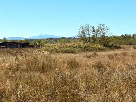 Объект по адресу Москва, Норильская ул, 14 