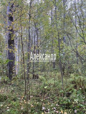 Объект по адресу Москва, Кутузовское п 