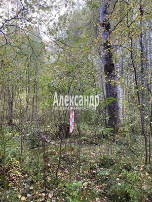 Объект по адресу Москва, Кутузовское п 