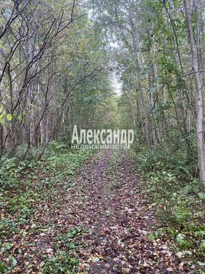 Объект по адресу Москва, Кутузовское п 