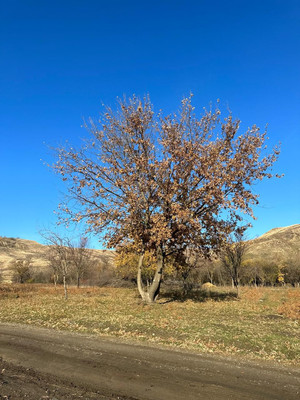 Объект по адресу Москва, Вишневая ул, 44 