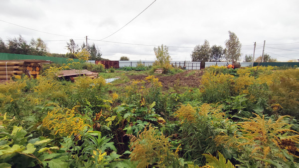 Объект по адресу Москва, Лесная ул 