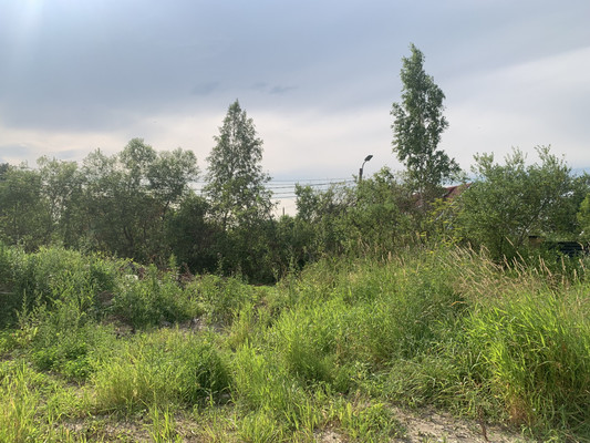 Объект по адресу Санкт-Петербург, Спортивная (Сергиево тер) ул, 8 