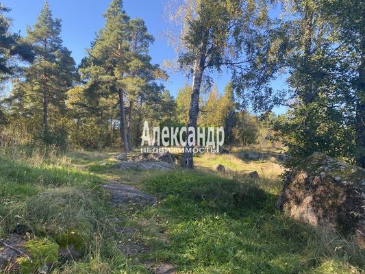 Объект по адресу Москва, Остров п 