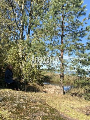 Объект по адресу Москва, Остров п 