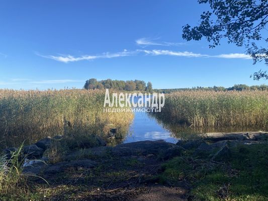 Объект по адресу Москва, Остров п 