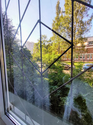 Объект по адресу Санкт-Петербург, Шлиссельбургский пр-кт, 45А 