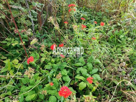 Объект по адресу Москва, Сиверский тер. СНТ, 10 