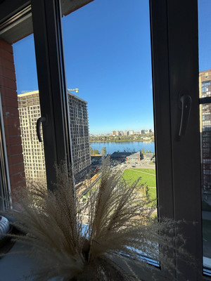 Объект по адресу Санкт-Петербург г, Советский (Усть-Славянка) пр-кт, д. 39к1