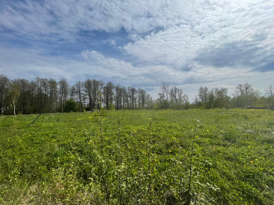 Объект по адресу Москва, Зеленая Роща п 