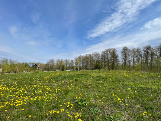 Объект по адресу Москва, Зеленая Роща п 