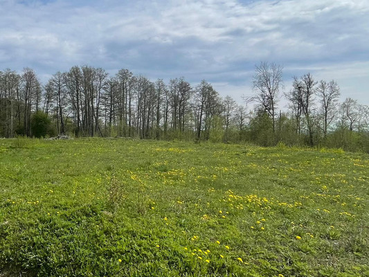 Объект по адресу Москва, Зеленая Роща п 