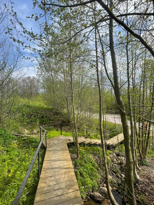 Объект по адресу Москва, Зеленая Роща п 