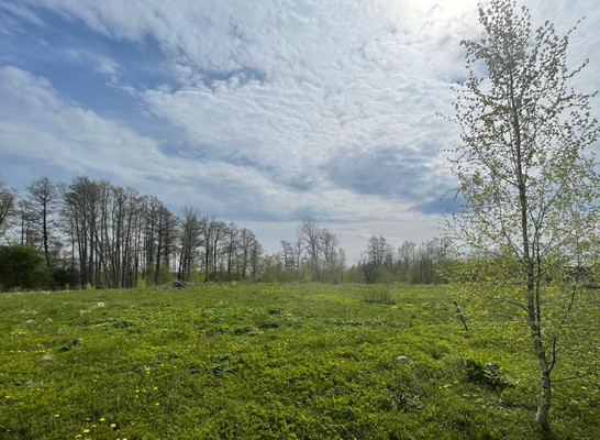 Объект по адресу Москва, Зеленая Роща п 