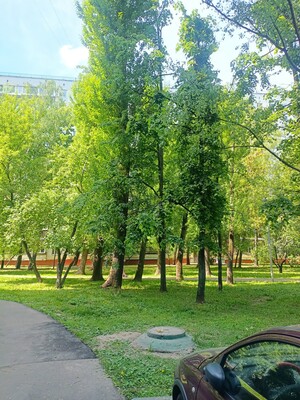 Объект по адресу Москва, Россошанская ул, 13к3 