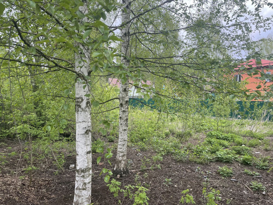 Объект по адресу Москва, СНТ Пенсионер тер 