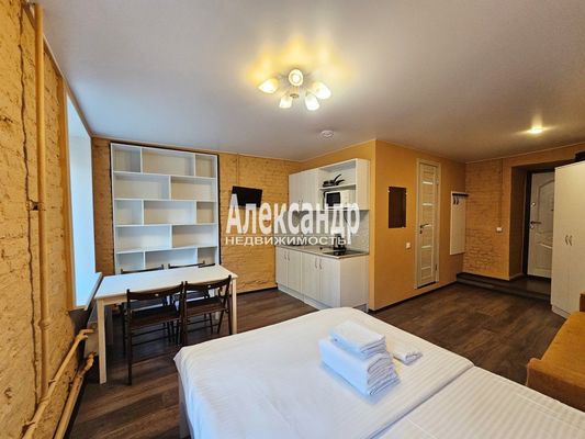 Объект по адресу Санкт-Петербург, Бринько пер, 4 