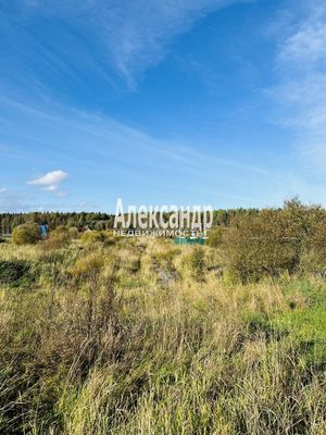 Объект по адресу Москва, Бор д 