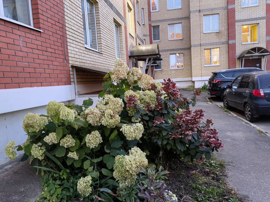 Объект по адресу Москва, Пушкинская ул, 3к4 