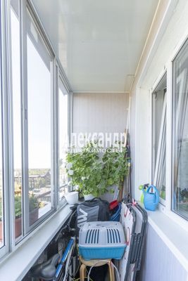 Фото квартиры по адресу Ленинградская обл, Выборгский р-н, Большая Каменная ул, д. 3