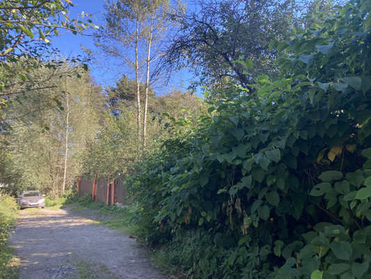 Объект по адресу Москва, Восточный пер 