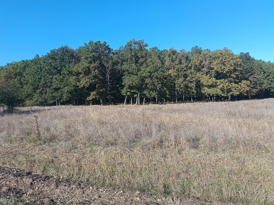 Объект по адресу Краснодарский край, Белореченский р-н, Южный п, Изумрудная ул