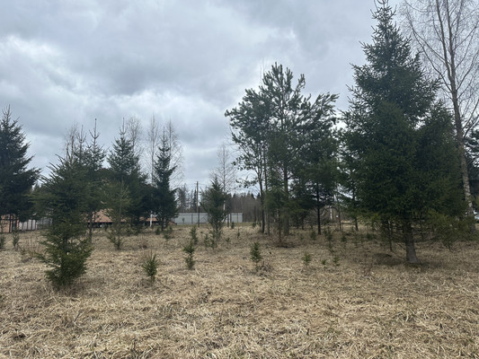 Объект по адресу Москва, Лебяжье п 