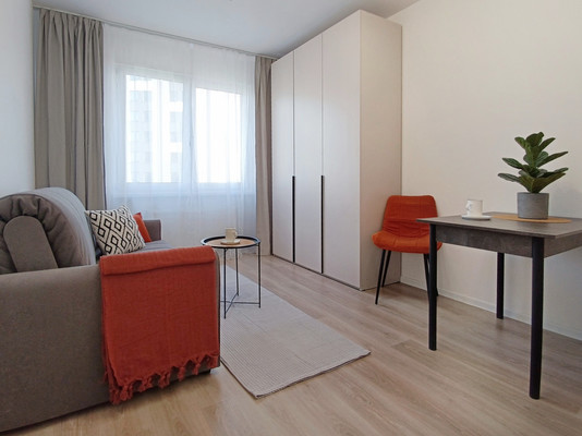 Объект по адресу Санкт-Петербург, Пахомовская ул, 12к2 