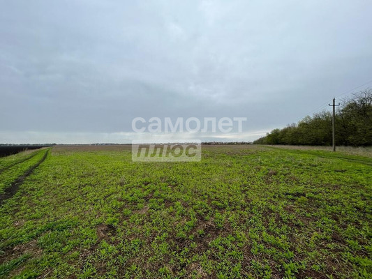 Объект по адресу Москва, Луч снт 