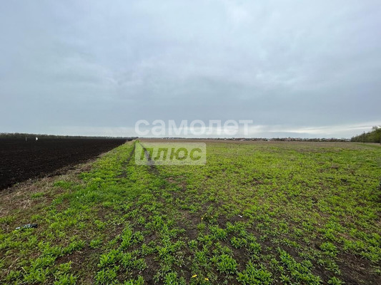 Объект по адресу Москва, Луч снт 