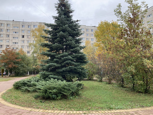 Объект по адресу Московская обл, Красноармейская ул, д. 10