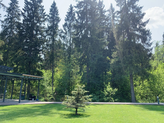 Объект по адресу Москва, Часовня д 