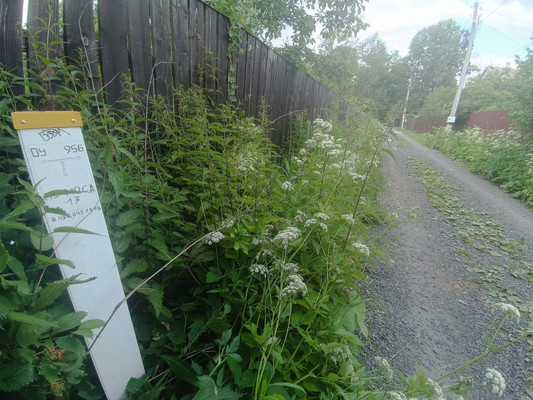 Объект по адресу Москва, ТСН Бауманский садовод тер 