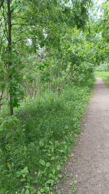 Объект по адресу Москва, Шлиссельбуржец тер. СНТ 