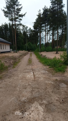 Объект по адресу Москва, Шлиссельбуржец тер. СНТ 