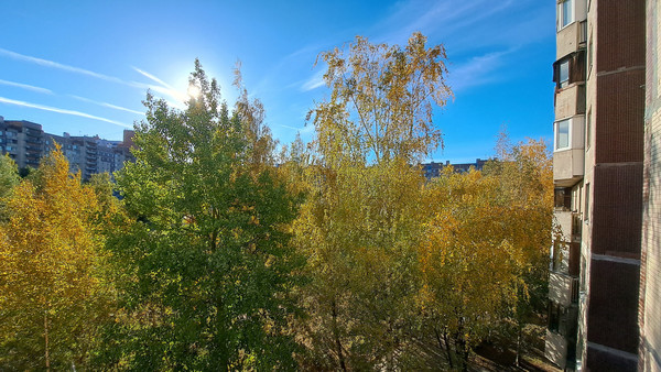 Объект по адресу Санкт-Петербург, Школьная ул, 114к2 