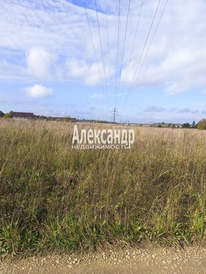 Объект по адресу Москва, Лопухинка тер. СНТ 