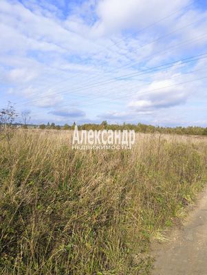 Объект по адресу Москва, Лопухинка тер. СНТ 