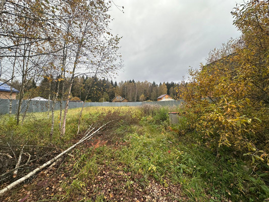 Объект по адресу Московская обл, Наро-Фоминский р-н, Чешково д, СПК Алешково тер