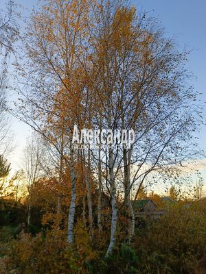 Объект по адресу Москва, Зеленая ул, 12 