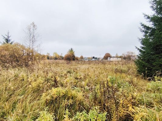 Объект по адресу Москва, Монаково д 