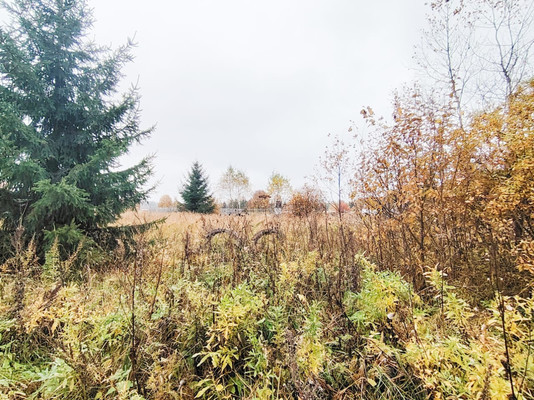 Объект по адресу Москва, Монаково д 